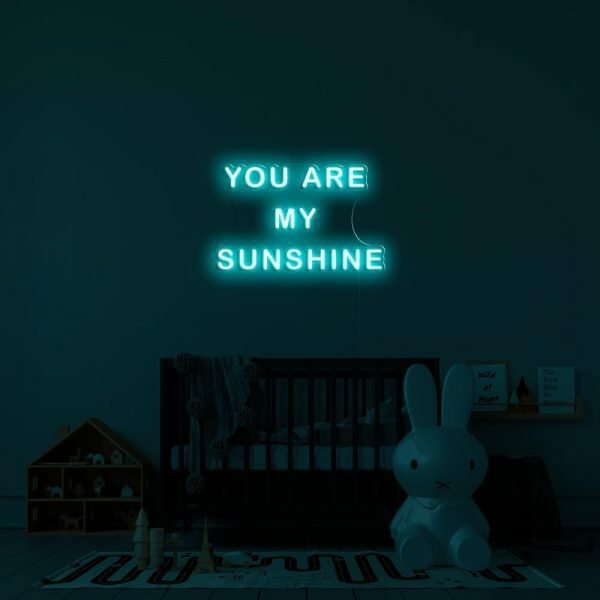 you are my sunshine neon sign